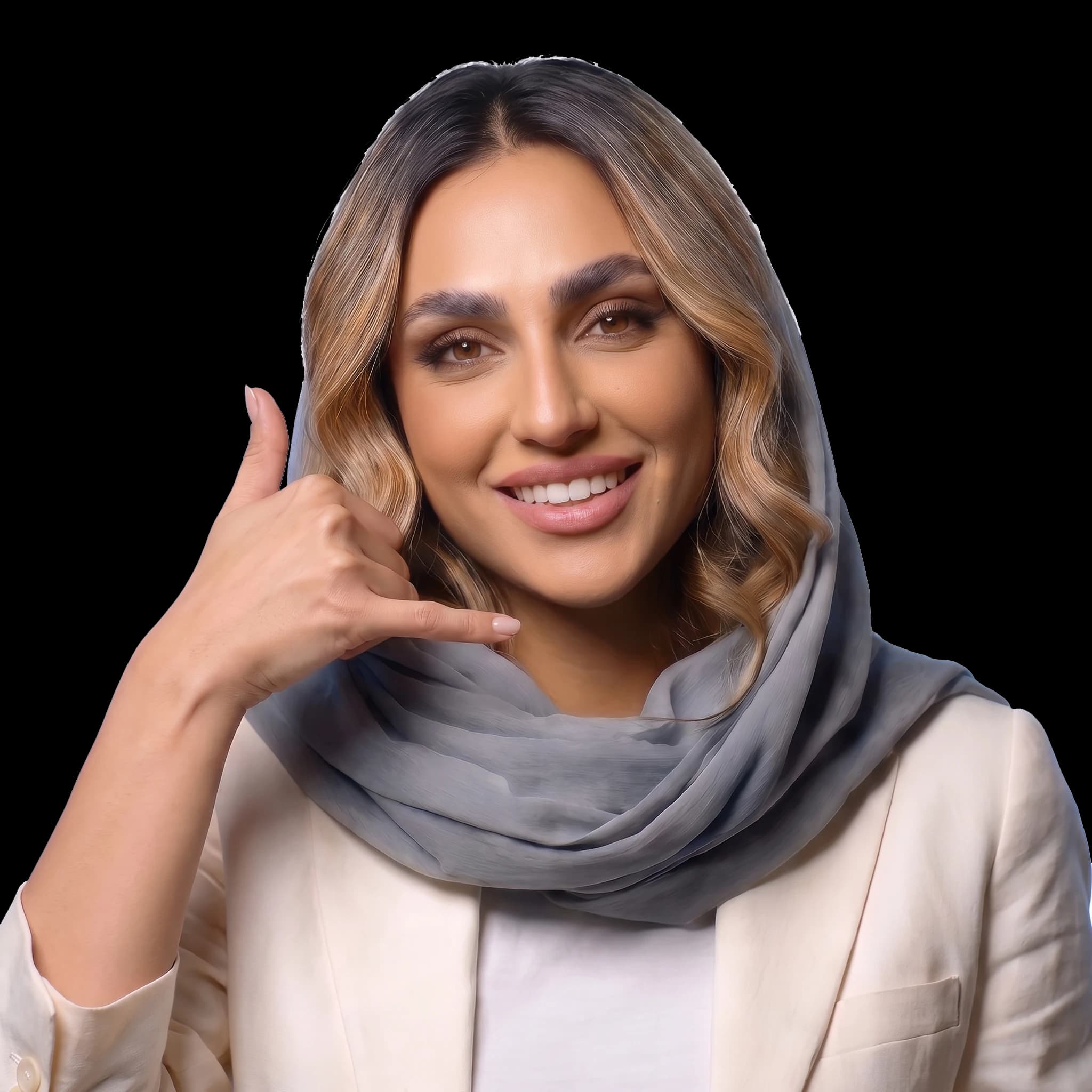 مشاور Denoise